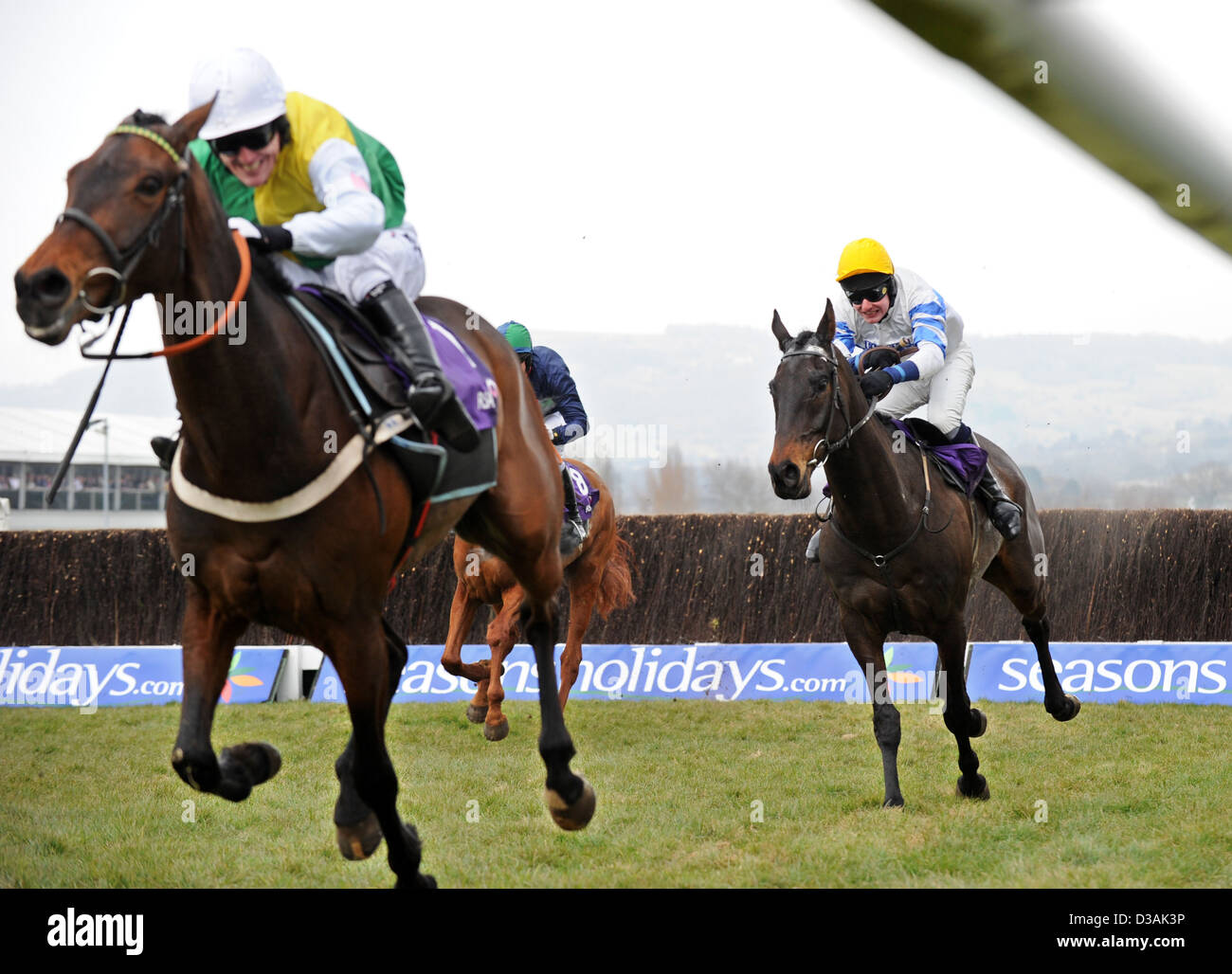 Jockeys springen während des Cheltenham Festivals eine jährliche Pferd Renn-Veranstaltung in England ihre Pferde über einen Zaun Stockfoto