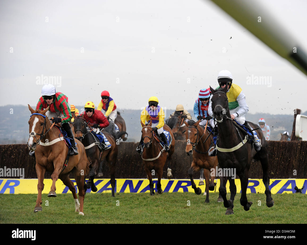 Jockeys springen während des Cheltenham Festivals eine jährliche Pferd Renn-Veranstaltung in England ihre Pferde über einen Zaun Stockfoto