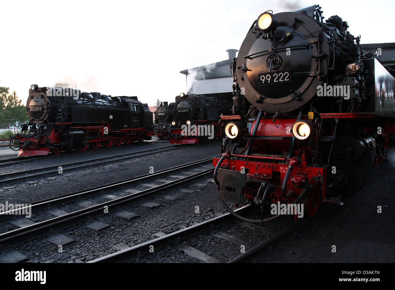 Wernigerode, Deutschland, Dampflokomotiven der Harzer Schmalspurbahn Eisenbahn Ltd. Stockfoto