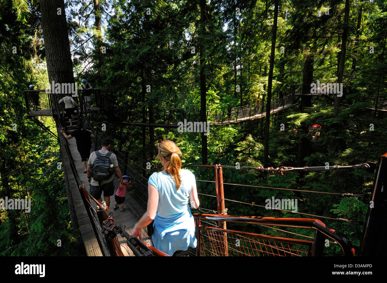 Touristen auf dem Baumwipfel Spaziergang am Capilano Suspension Bridge Park Vancouver freitragend abgehängte Gehweg Nervenkitzel hoch Höhe Stockfoto