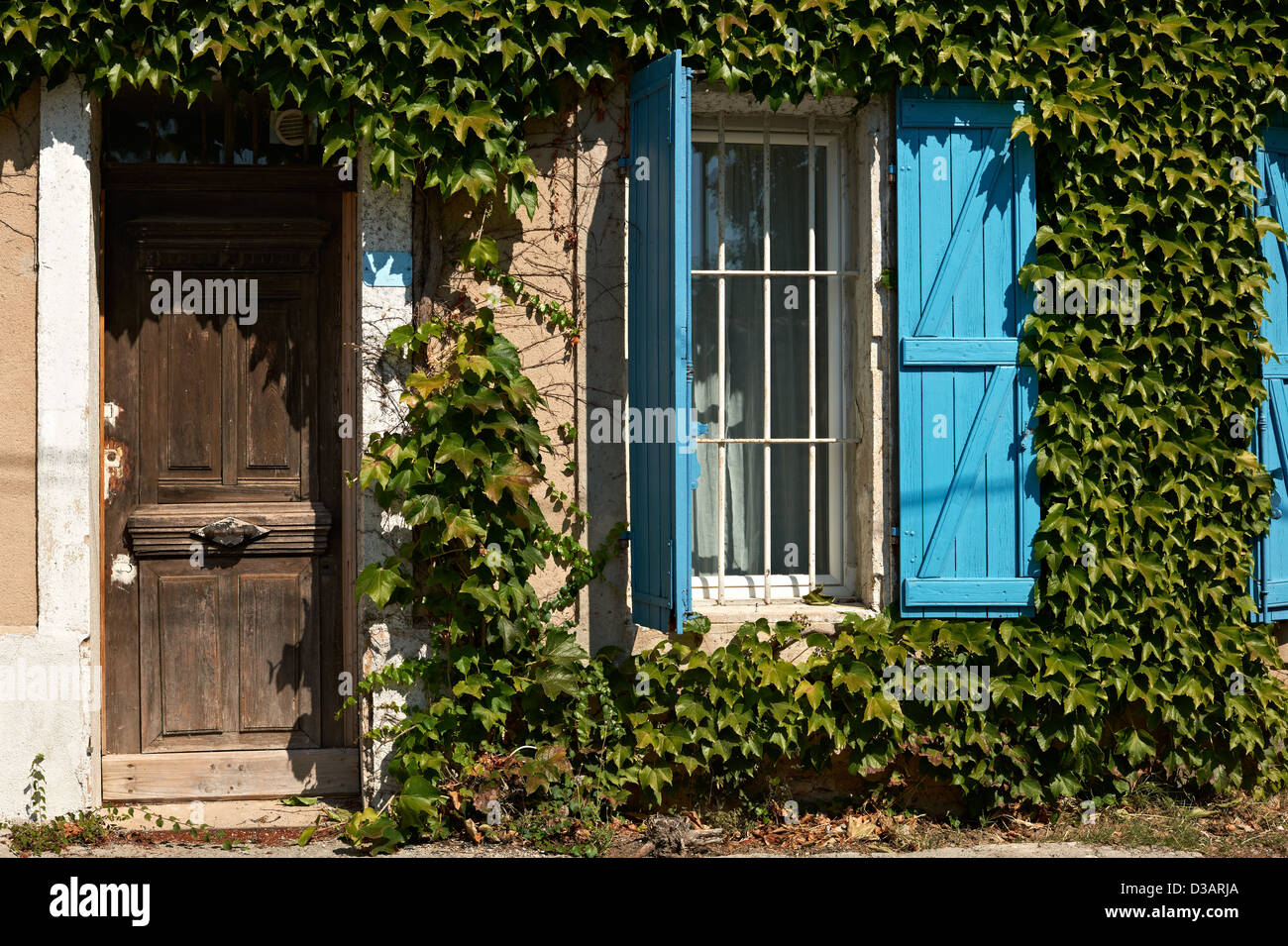 Typische Hausfassade mit mit grünen Efeu in der französischen Provence, Südfrankreich Stockfoto