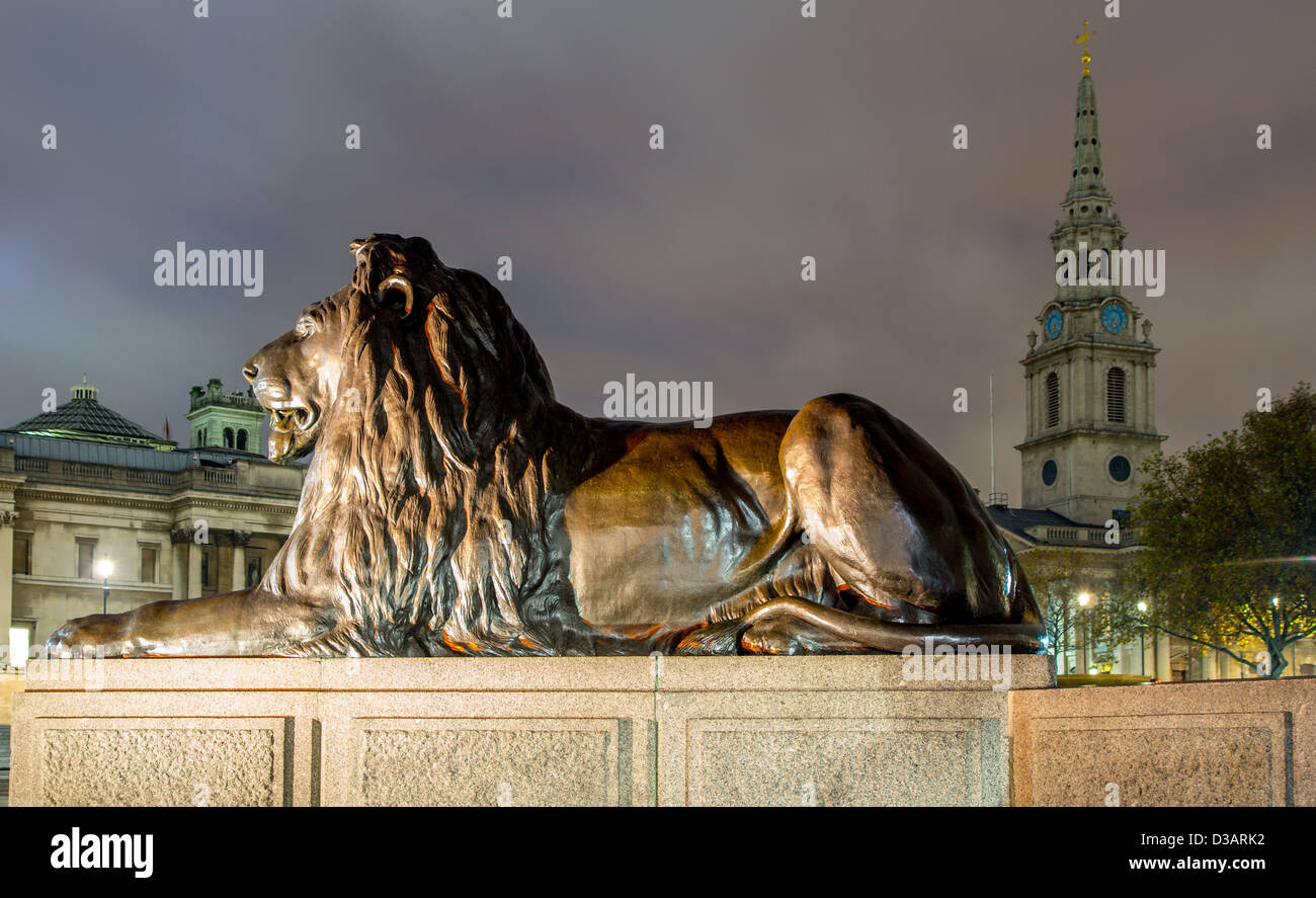 Löwe am Trafalgar square Stockfoto