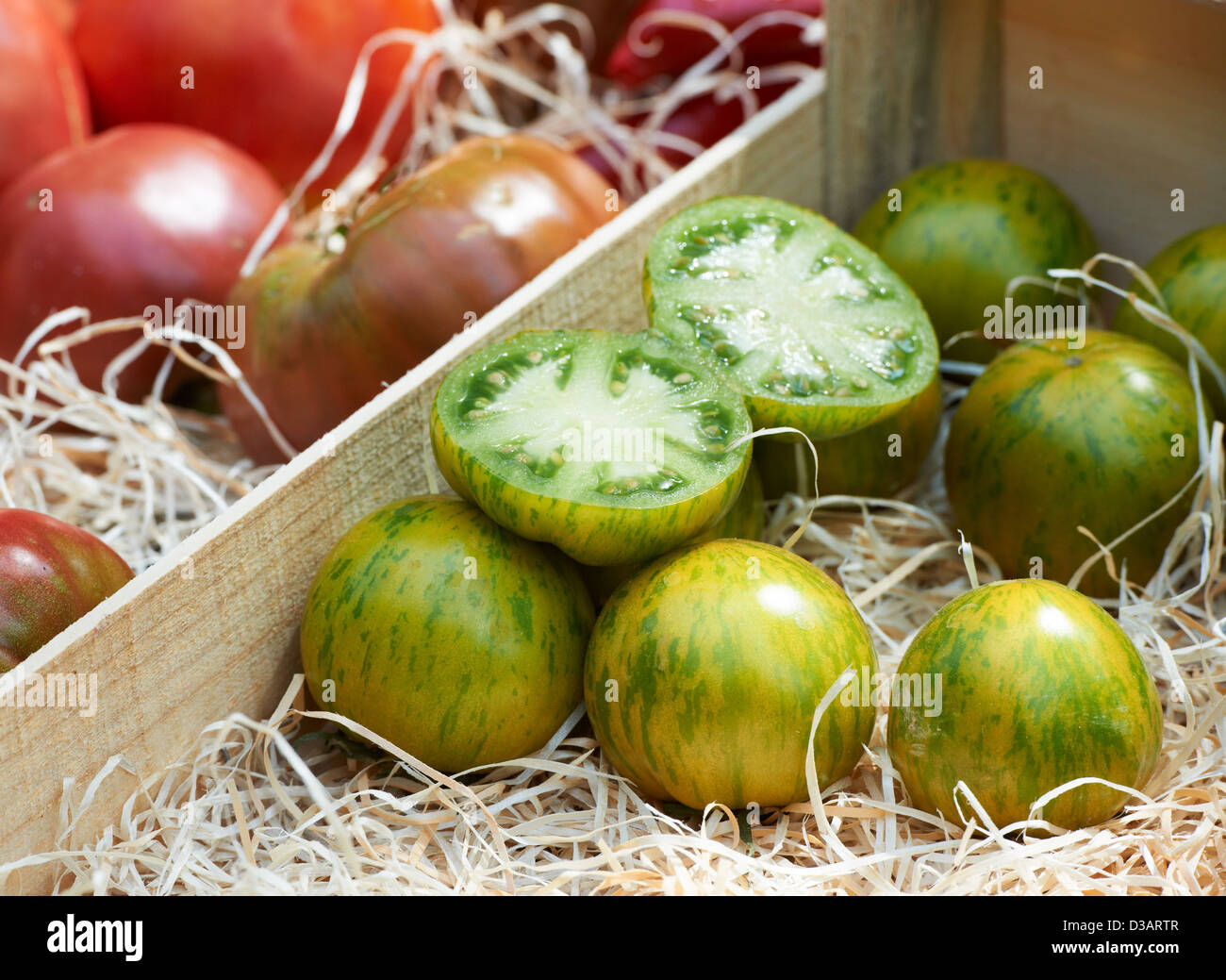 Französische Vielzahl von grünen Tomaten am Markt der Provence in Südfrankreich Stockfoto