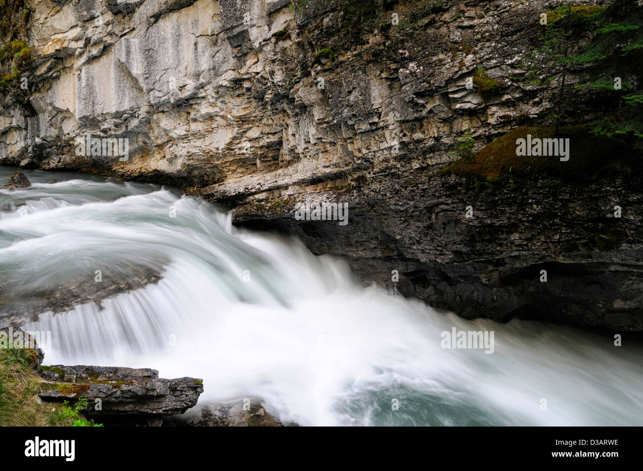 Wasserfall fällt Wildwasser Johnston Creek Johnston Canyon Bow Valley Parkway Banff Nationalpark Alberta Kanada Stockfoto