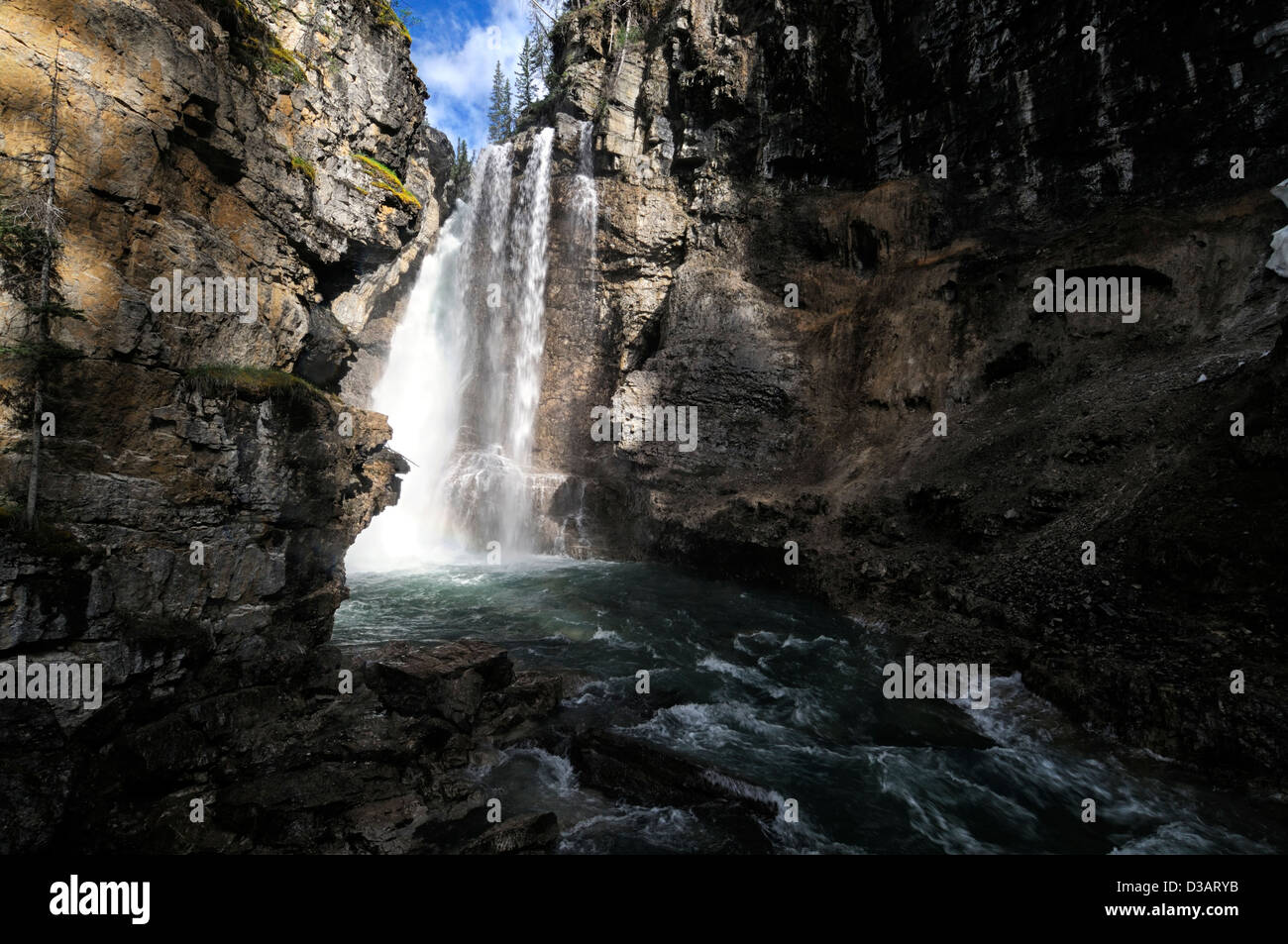 Wasserfall fällt Wildwasser Johnston Creek Johnston Canyon Bow Valley Parkway Banff Nationalpark Alberta Kanada Stockfoto