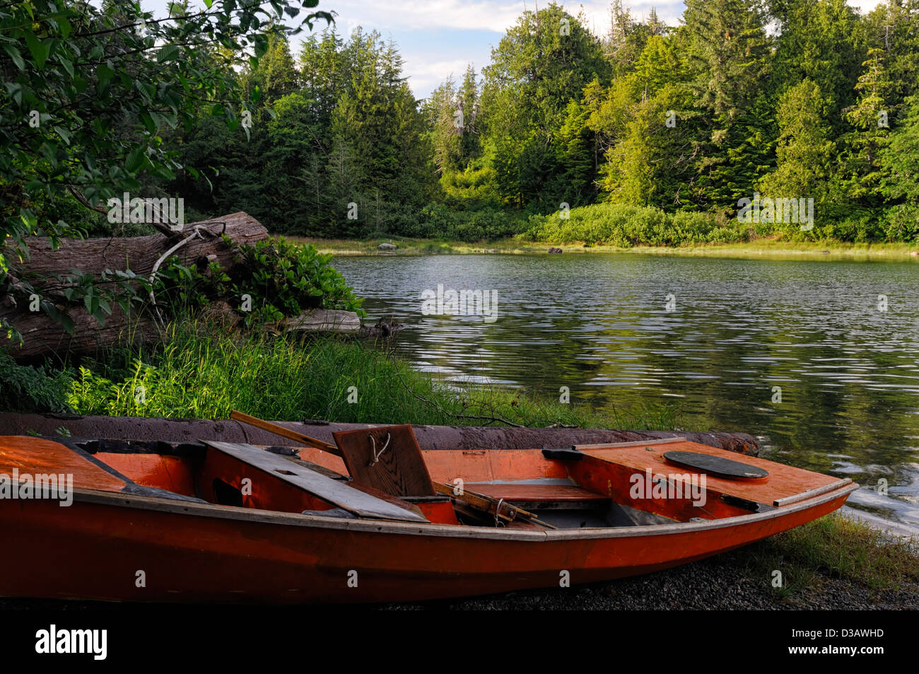 Tofino Botanical Gardens Vancouver Island in British Columbia Kanada Teich See Ruderboot Stockfoto