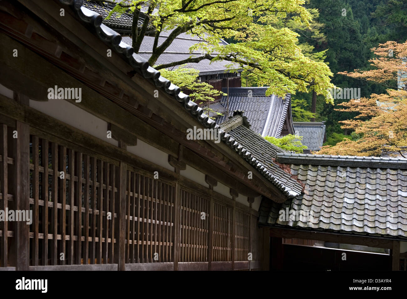 Historische Gebäude und die natürliche Berglandschaft Wald koexistieren friedlich in der Soto-Sekte Zen-buddhistischen Eiheiji Tempel Stockfoto