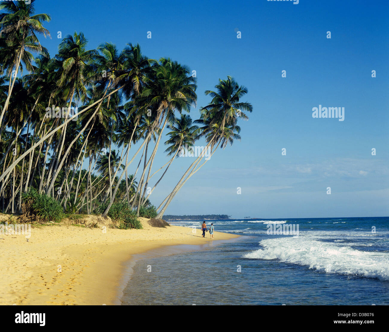 Sri Lanka, Südküste, Hikkaduwa; Palmen gesäumte Strand Stockfoto