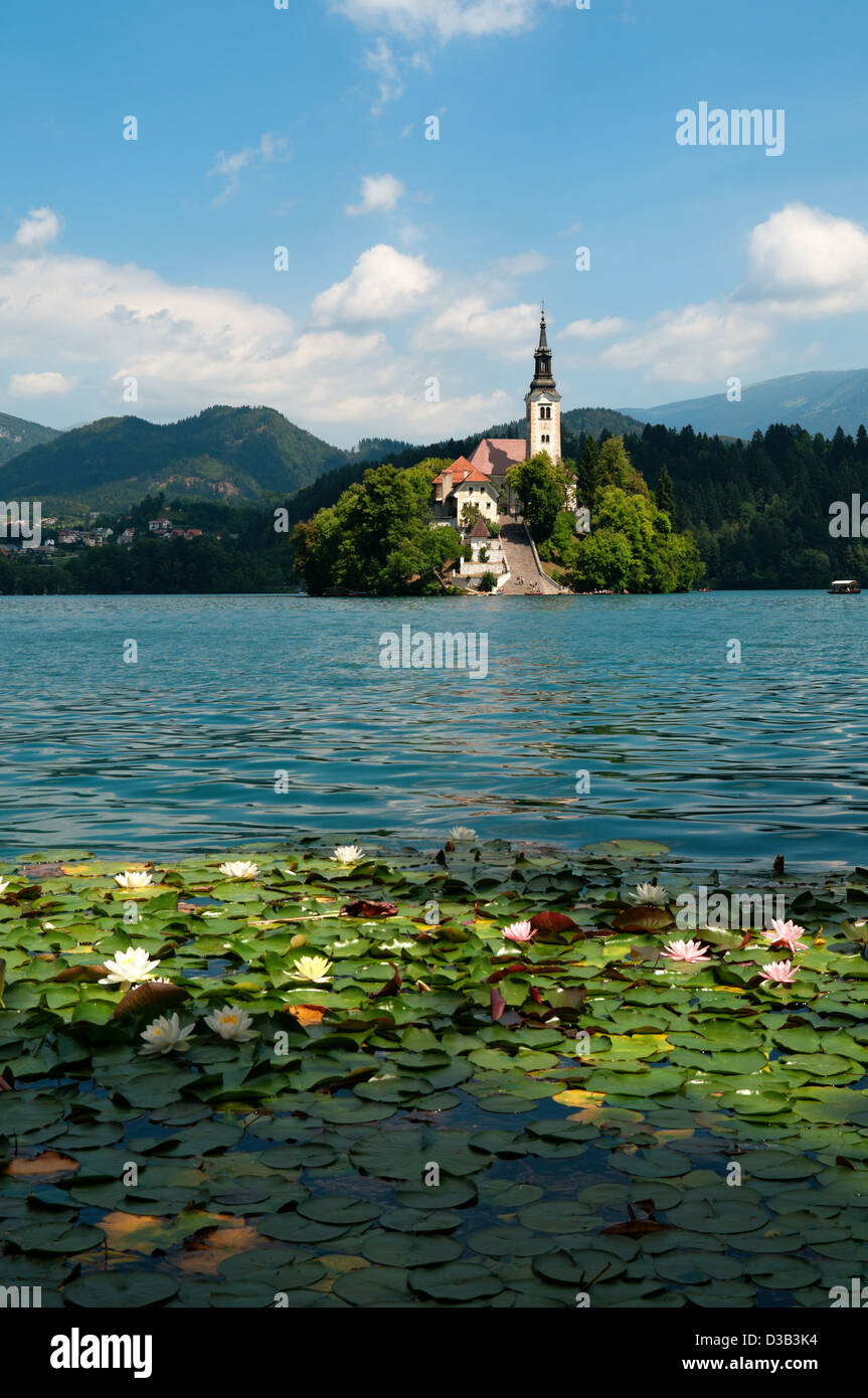Lake Bled in Slowenien. Stockfoto