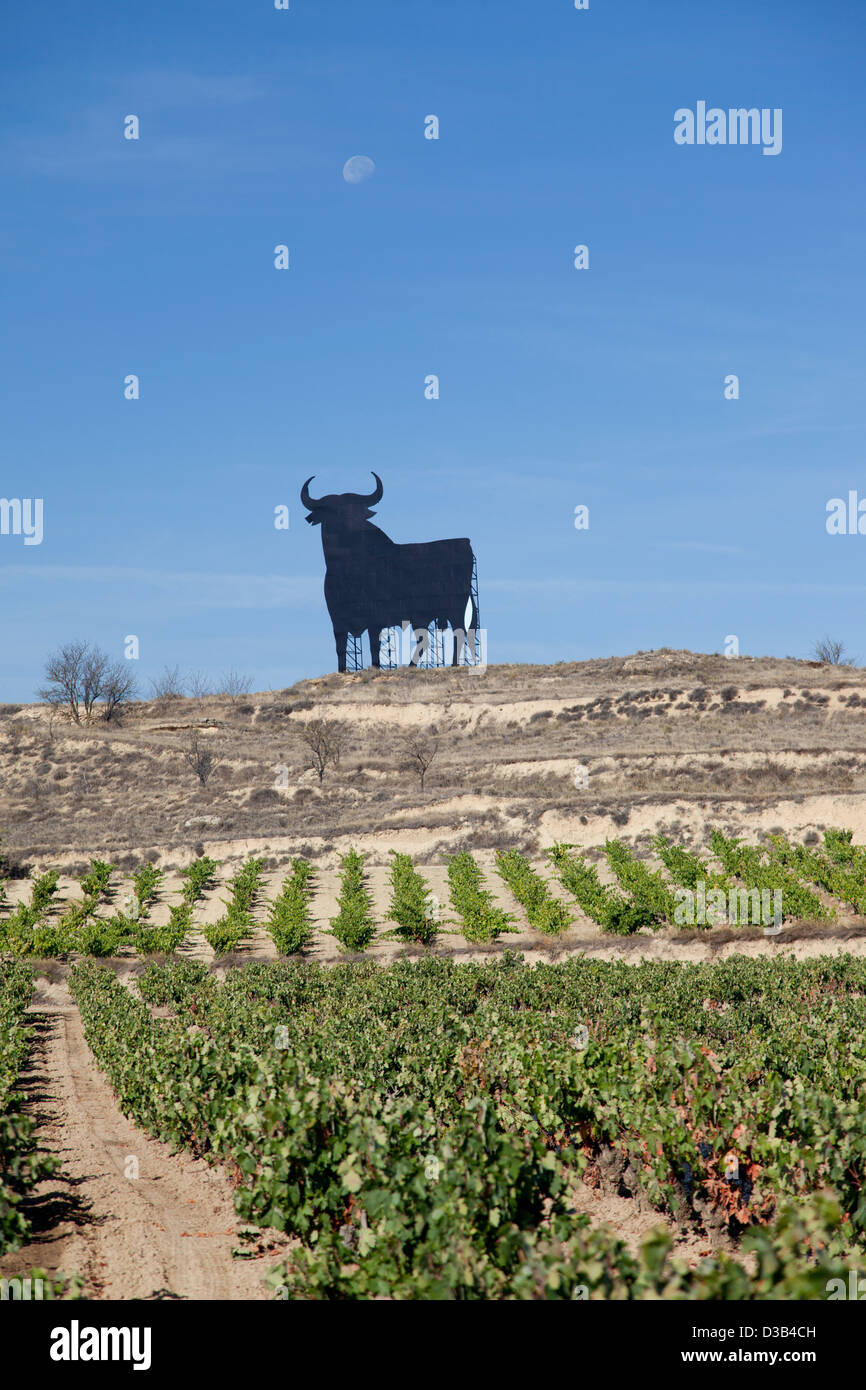 Statue der schwarzen Stier auf Bergrücken oberhalb der Weinberge im Bereich Briones in der Region La Rioja, Spanien. Stockfoto