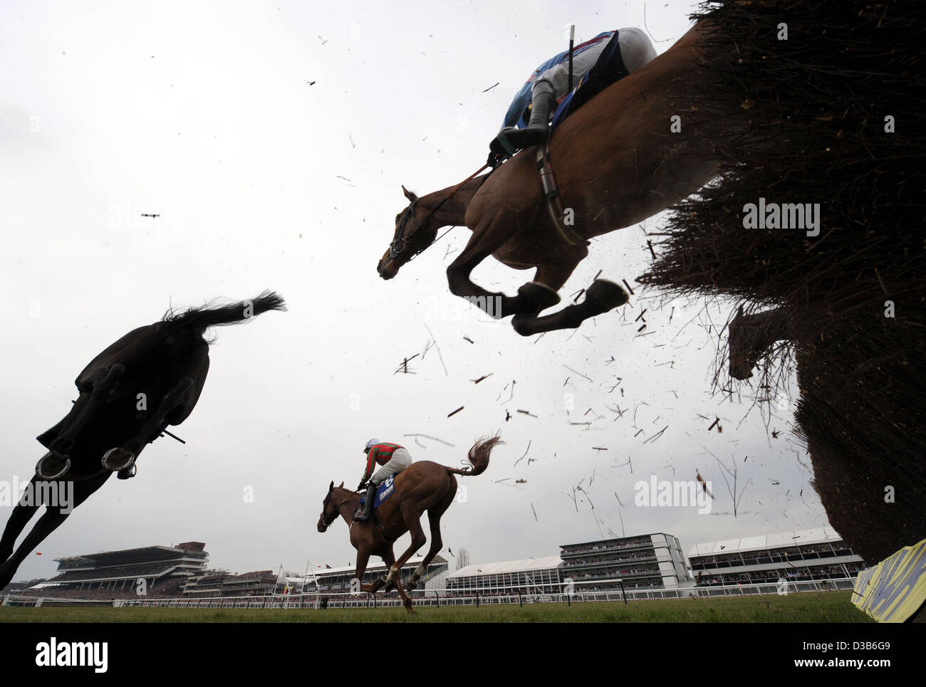 Einen Zaun springen Pferde während des Cheltenham Festivals eine jährliche Pferd Renn-Veranstaltung in England Stockfoto