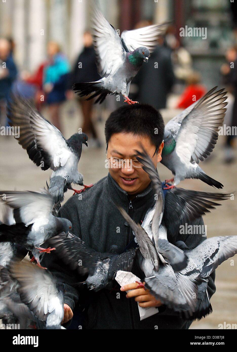 (Dpa) - ein japanischer Tourist den Tauben füttert, Flitter um ihn herum auf der Piazza San Marco in Venedig, Italien, 17. November 2002. Stockfoto