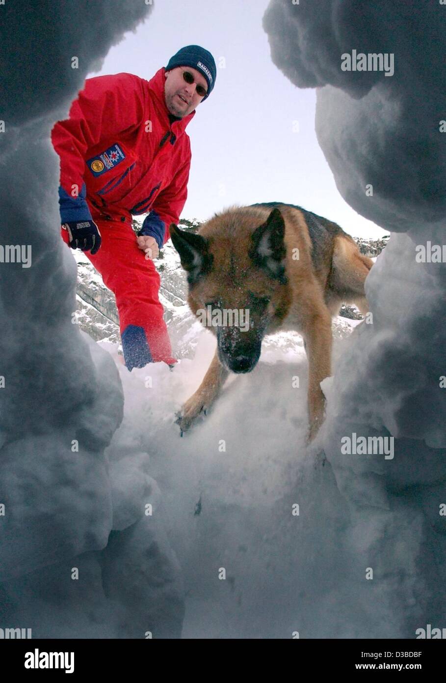 (Dpa) - ein Mitglied der Bayerischen Bergwacht und seinem Fährtenhund erkunden eine Schneehöhle bei Garmisch-Partenkirchen in Süddeutschland, 15. Januar 2003.  Der Deutsche Schäferhund gehört zu des Rettungsdienstes Lawinen- und Rettung k-9 (canine Einheit). Stockfoto