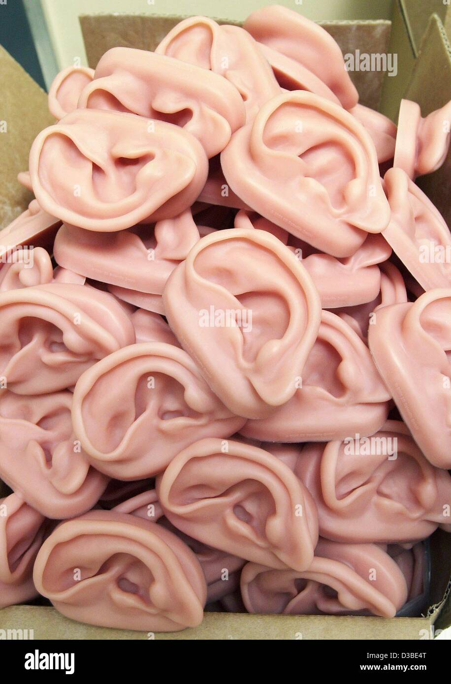 (Dpa) - bereit für Sendung füllen ein Karton box bei 3 b Scientific in Hamburg, Deutschland, 15. Januar 2003 unzählige Replikation menschlichen Ohren.  3 b Scientific, einem international renommierten Unternehmen, spezialisiert auf die Produktion und Vermarktung von didaktischen Materialien für den wissenschaftlichen und medizinischen Unterricht.  Seine Stockfoto