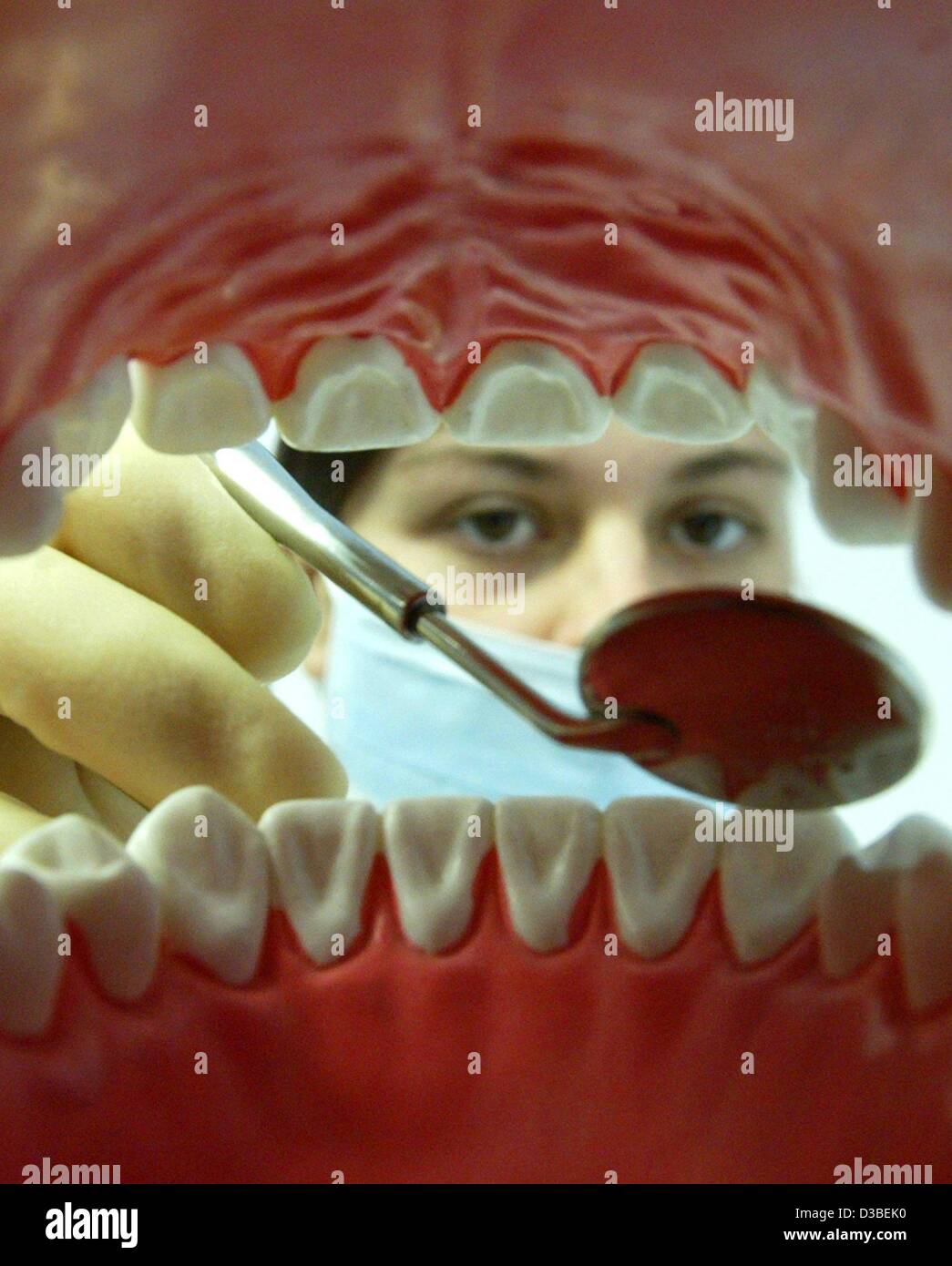(Dpa) - Krankenschwester Inga untersucht das Modell einer menschlichen Prothese bei eines Zahnarztes in Magdeburg, Deutschland, 9. Januar 2003. Planungen für Reformen in das deutsche Sozialsystem sehen ein Eigenbeitrag zu der Krankenversicherung von bis zu 900 Euro pro Jahr im Krankheitsfall. Auf lange Sicht könnte alle Zahnbehandlungen b Stockfoto