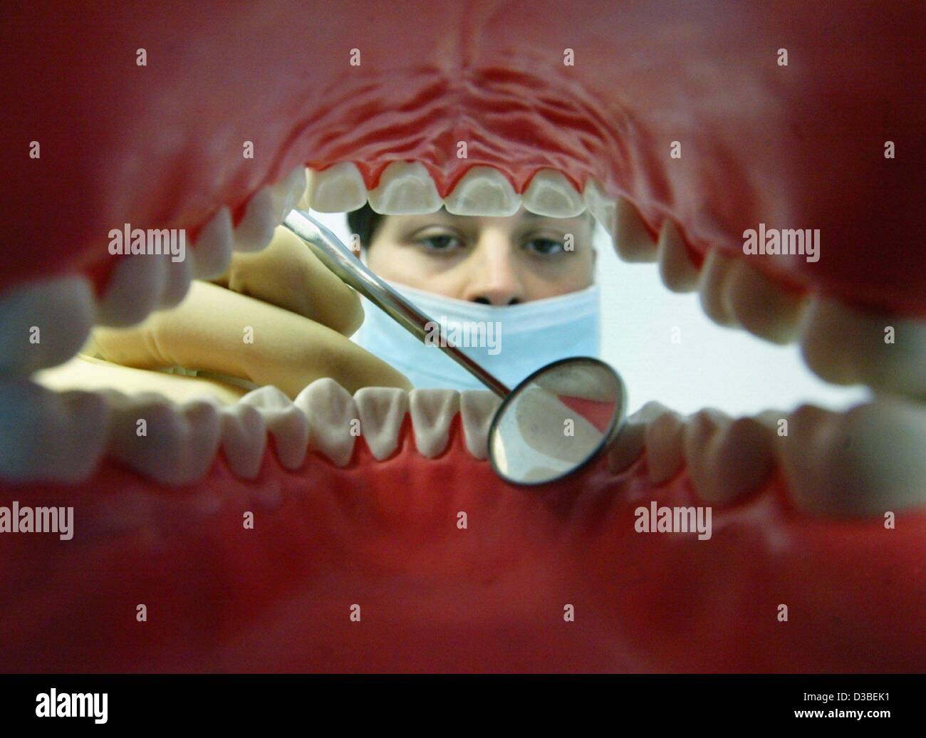 (Dpa) - Krankenschwester Inga untersucht das Modell einer menschlichen Prothese bei eines Zahnarztes in Magdeburg, Deutschland, 9. Januar 2003. Planungen für Reformen in das deutsche Sozialsystem sehen ein Eigenbeitrag zu der Krankenversicherung von bis zu 900 Euro pro Jahr im Krankheitsfall. Auf lange Sicht könnte alle Zahnbehandlungen b Stockfoto