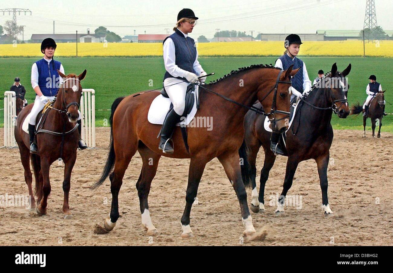 (Dpa) - Pferde und Reiter sind bei der Reitverein Beerbaum in Wotenick, Deutschland, 12. Mai 2003 abgebildet. Die berühmten Springpferde und Brüder Ludger Beerbaum und Markus Beerbaum besitzen dieses Resort im Nordosten Deutschlands, die viele reiterliche Aktivitäten bietet. Ein neues Webportal (www.reiten-in-mv.de) Stockfoto