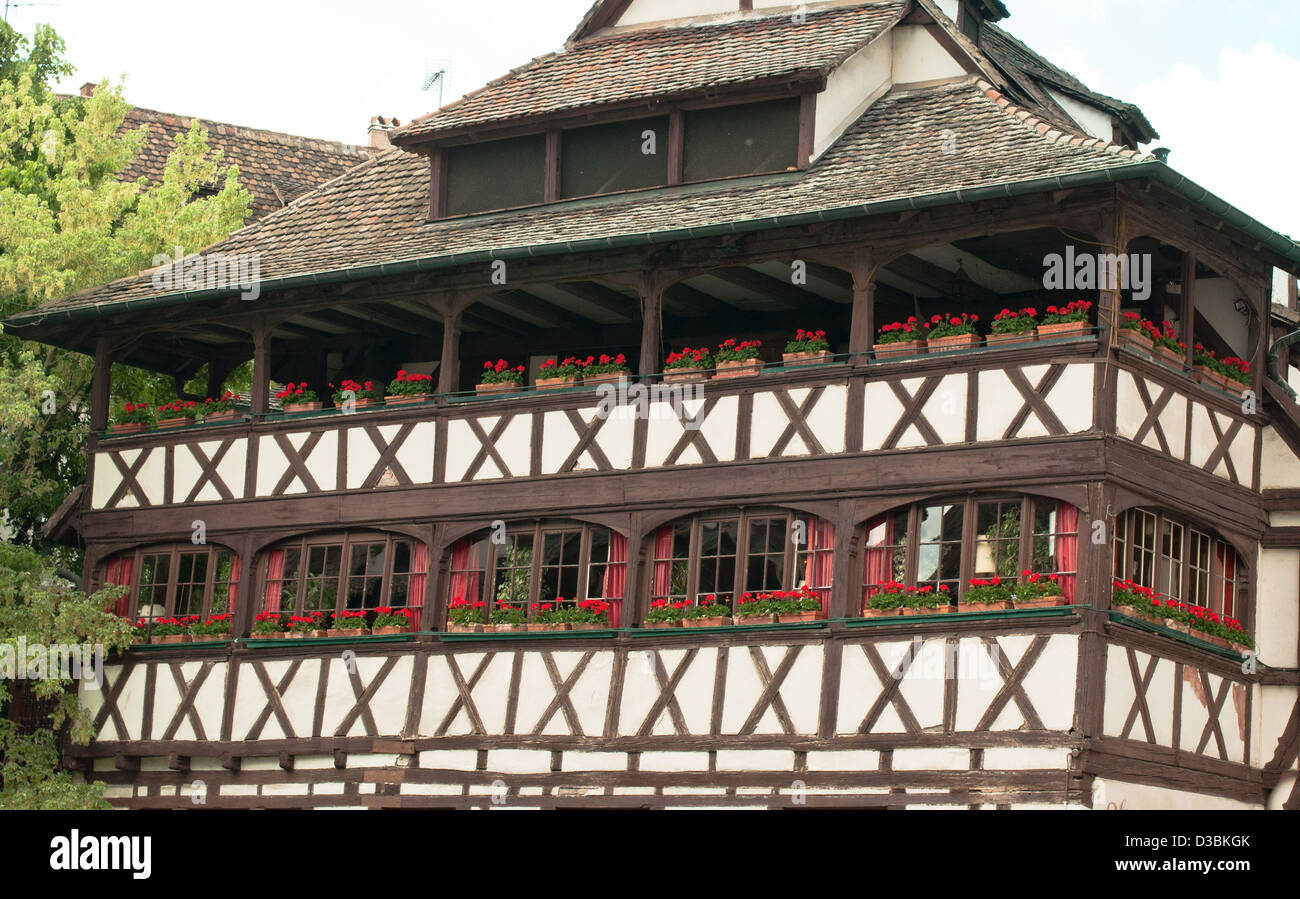 Gebäude außen, Architektur und Gebäude, Blumentopf, erbaut Struktur, Fenster, Balkon, Shutter, Frankreich, Elsass, Straßburg Stockfoto