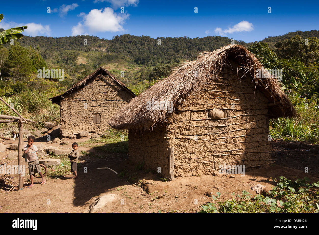 Madagaskar, Ranomafana, Flechtwerk und Lehm Bauernhaus außerhalb Nationalpark Stockfoto