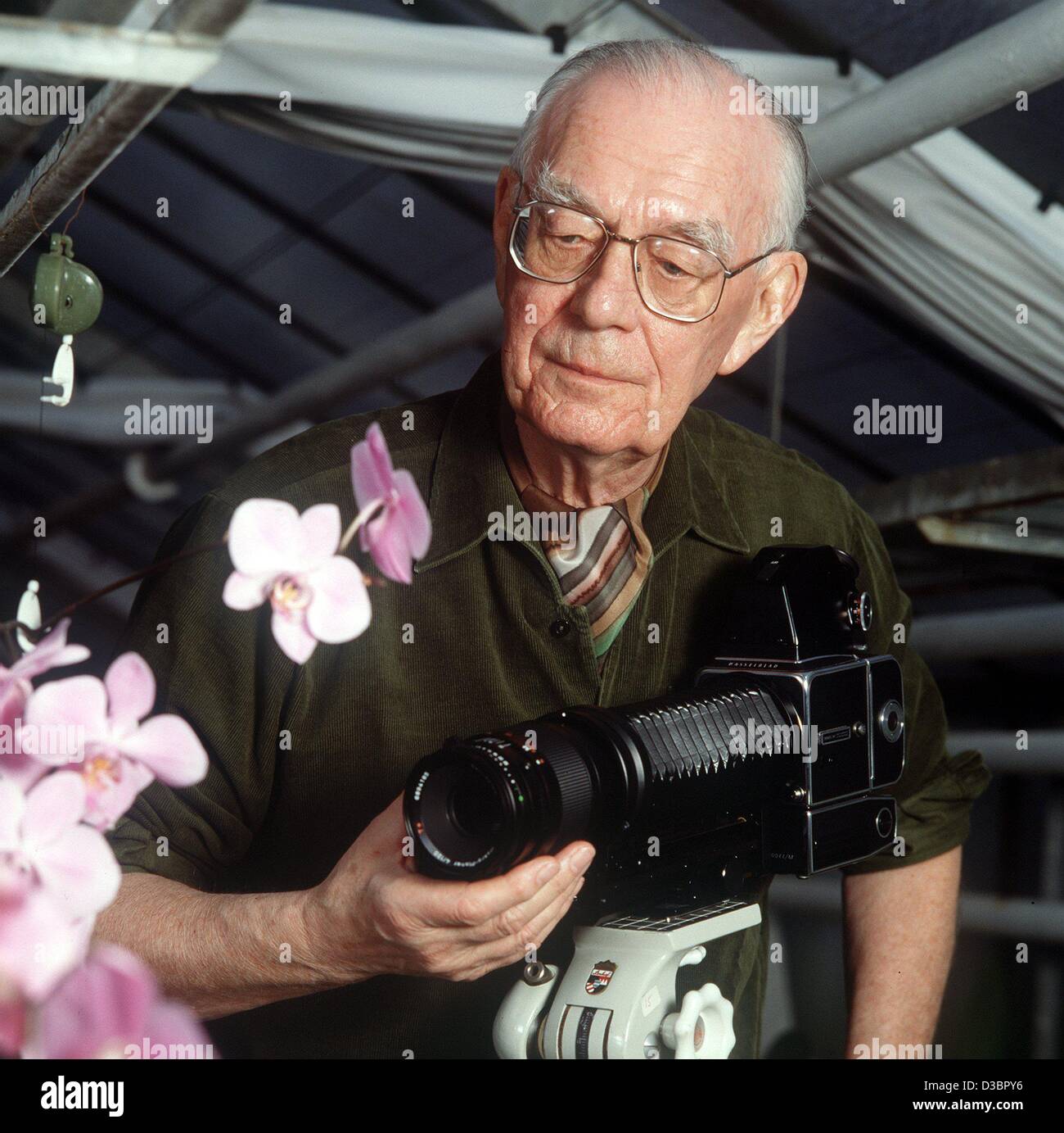 Mainau bernadotte Fotos und Bildmaterial in hoher Auflösung Alamy