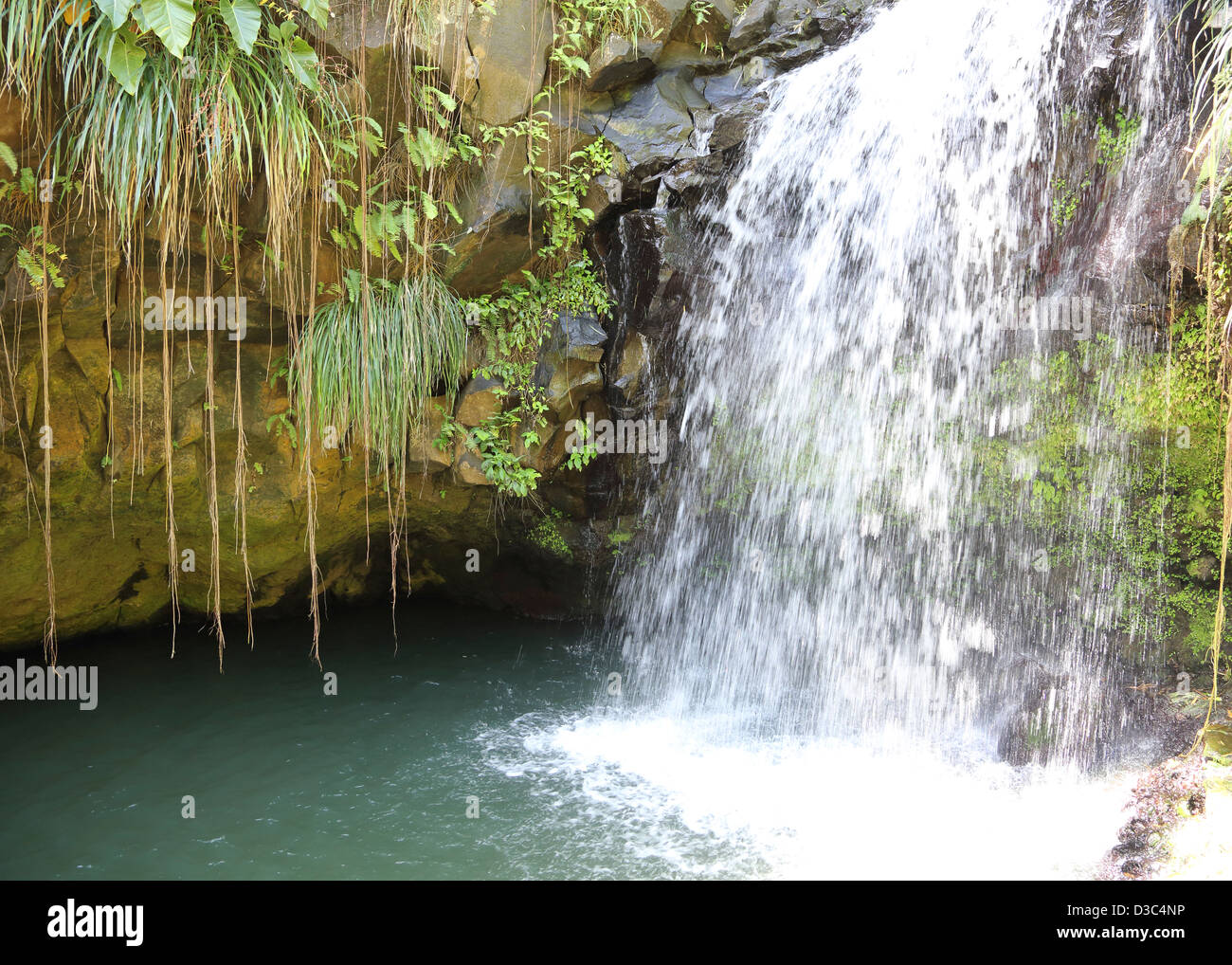 ANNANDALE WASSERFÄLLE, GRAND ETANG FOREST RESERVE, GRENADA, Stockfoto