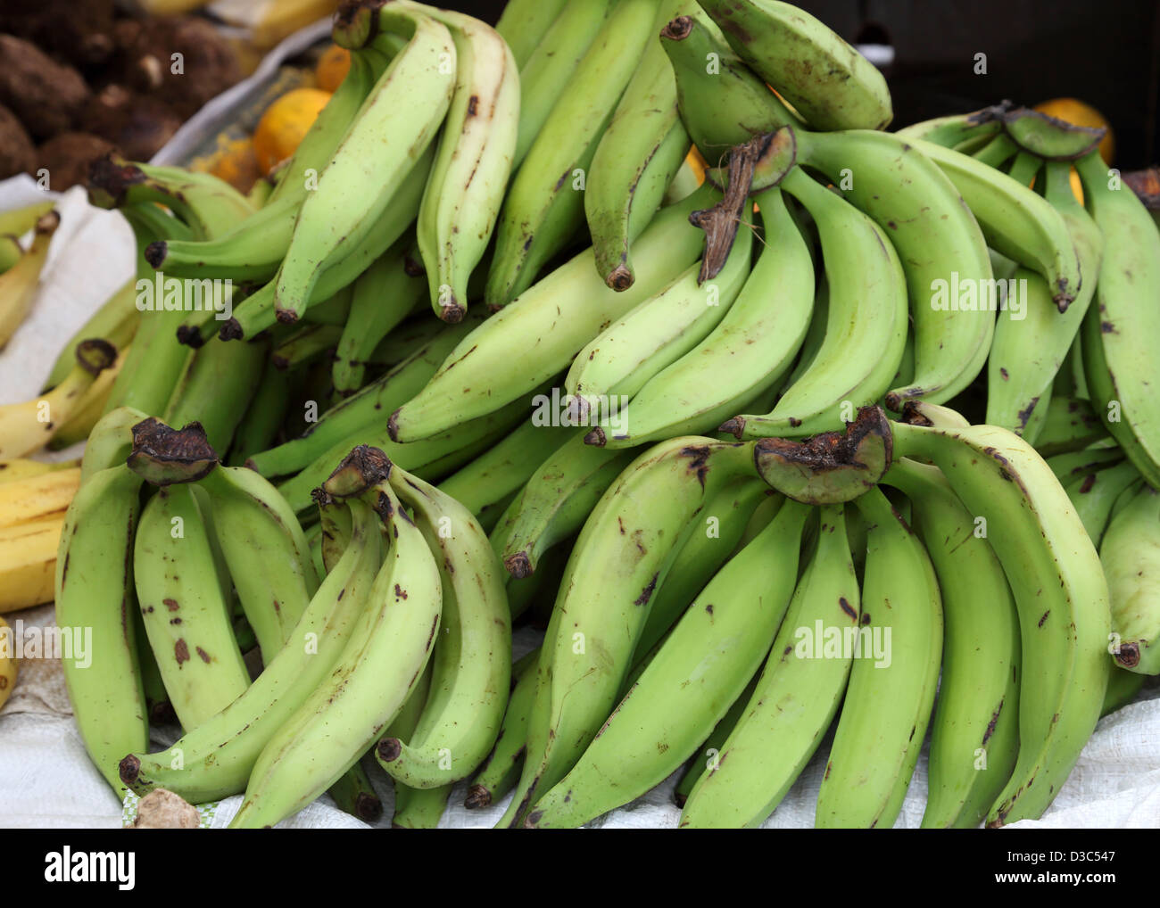 GRÜNE BANANEN, GRENADA Stockfoto
