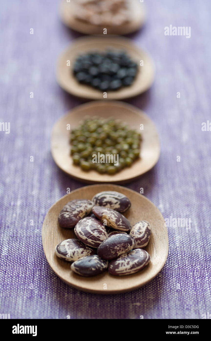 Nahaufnahme von vier unterschiedlichen Vielzahl von organischen Bohnen: (hinten nach vorne) Pinto, schwarz, grün-Mung, Limabohnen. Stockfoto