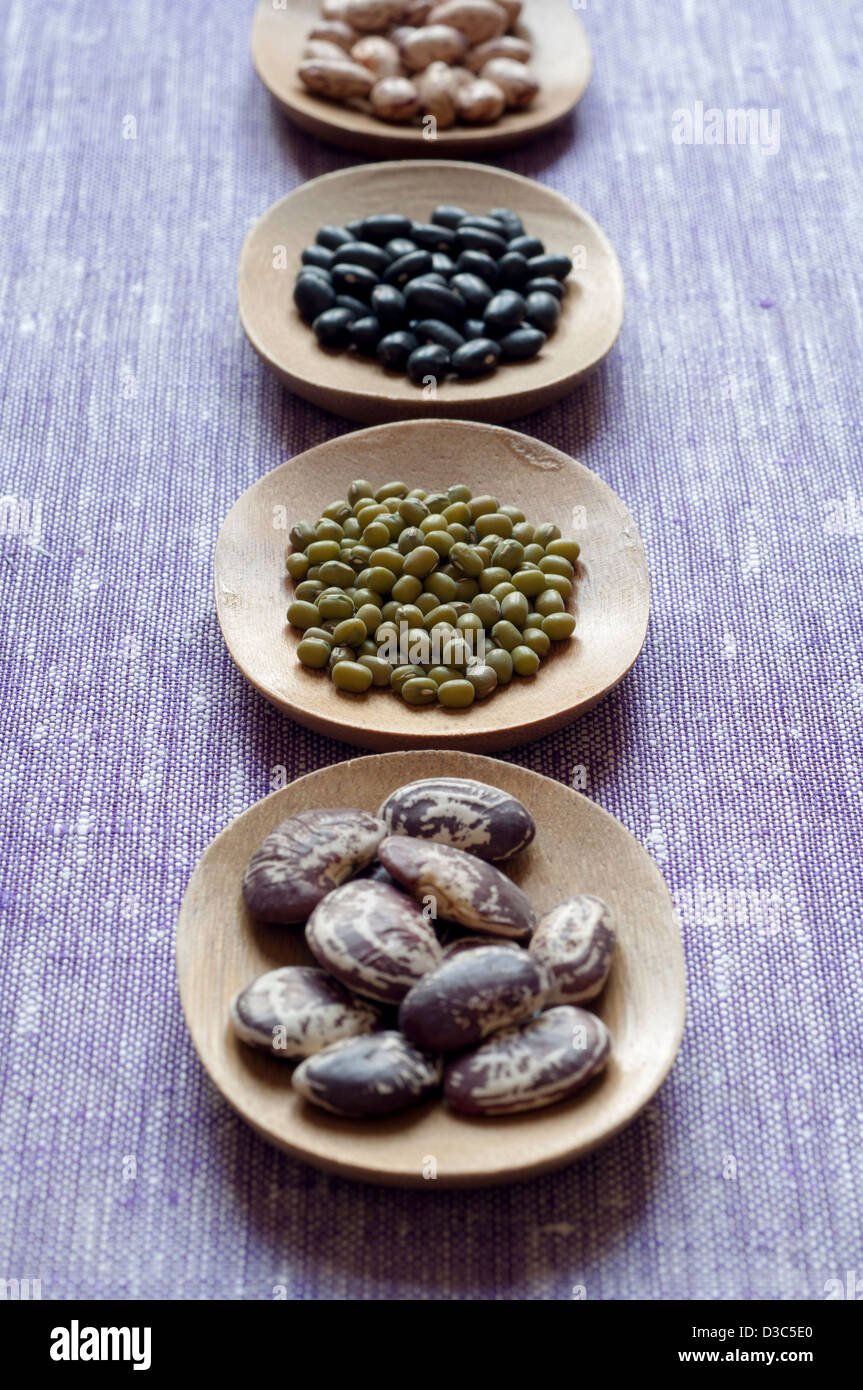 Nahaufnahme von vier unterschiedlichen Vielzahl von organischen Bohnen: (hinten nach vorne) Pinto, schwarz, grün-Mung, Limabohnen. Stockfoto