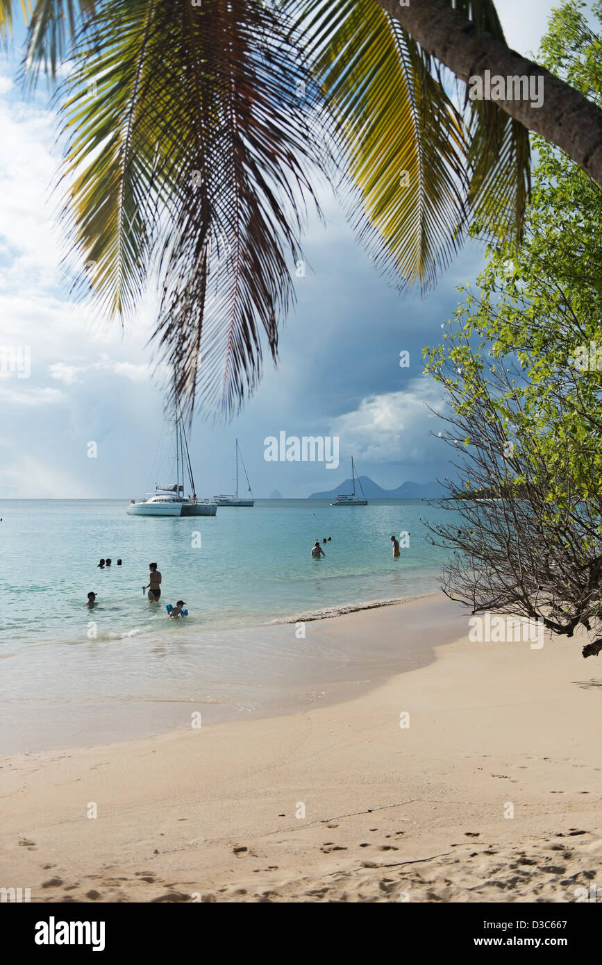 Plage des Salines, Sainte Anne Beach, Martinique Insel, kleine Antillen, Karibisches Meer, Frankreich Stockfoto