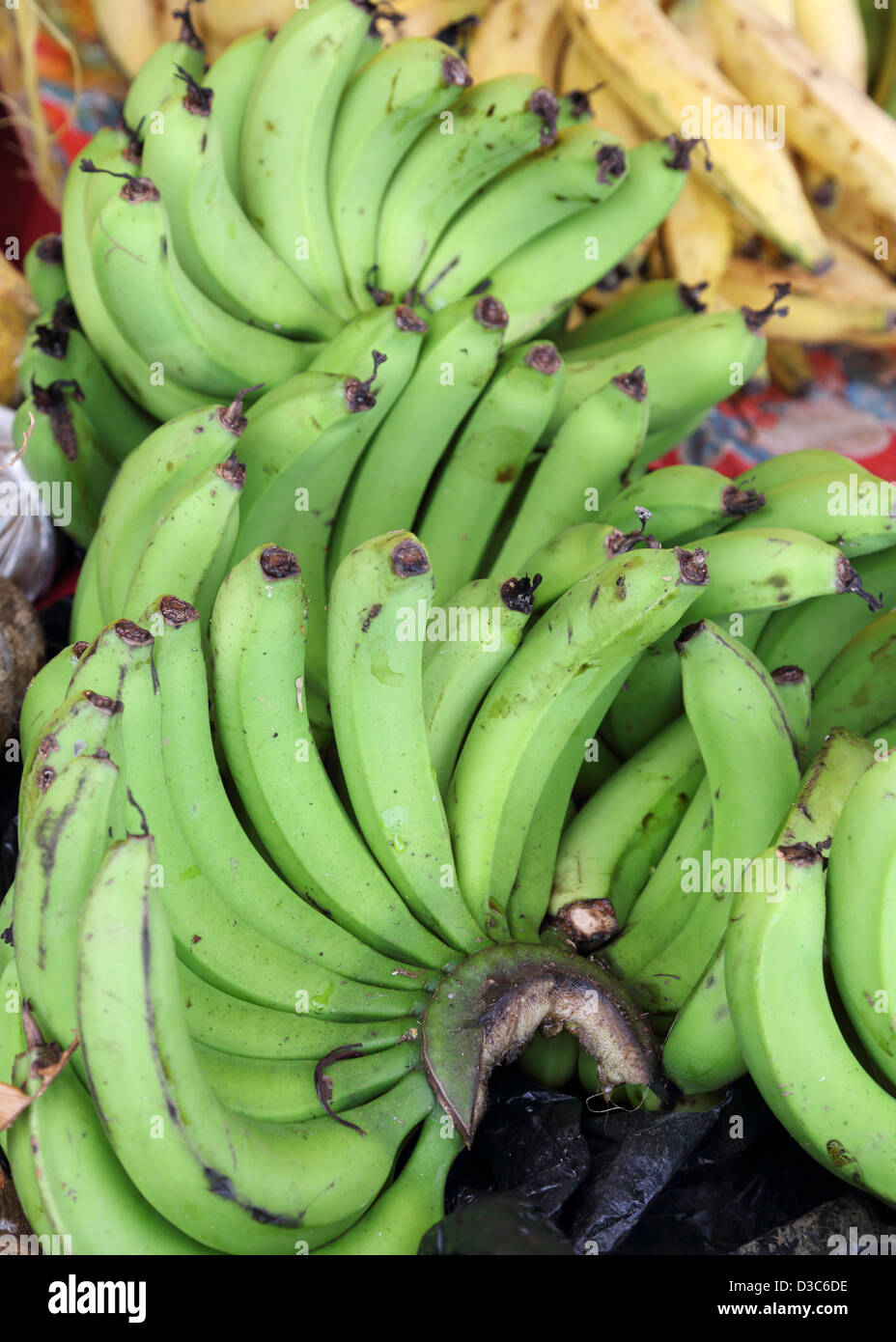 GRÜNE BANANEN, KARIBIK MARKT STALL, DOMINICA Stockfoto