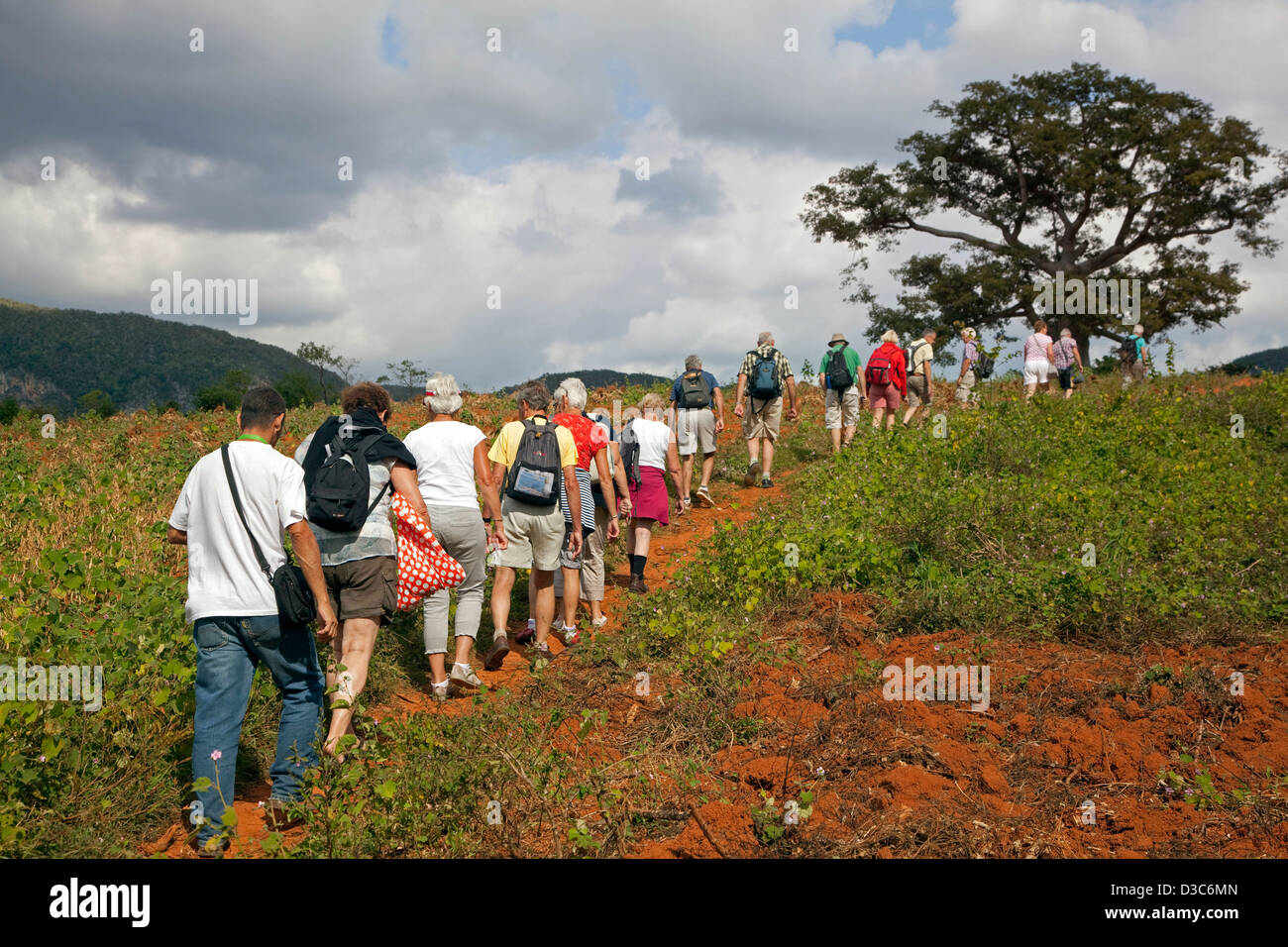 Touristen erkunden das Viñales-Tal / Valle de Viñales in der Sierra de Los Organos, Pinar del Río, Kuba, Caribbean Stockfoto