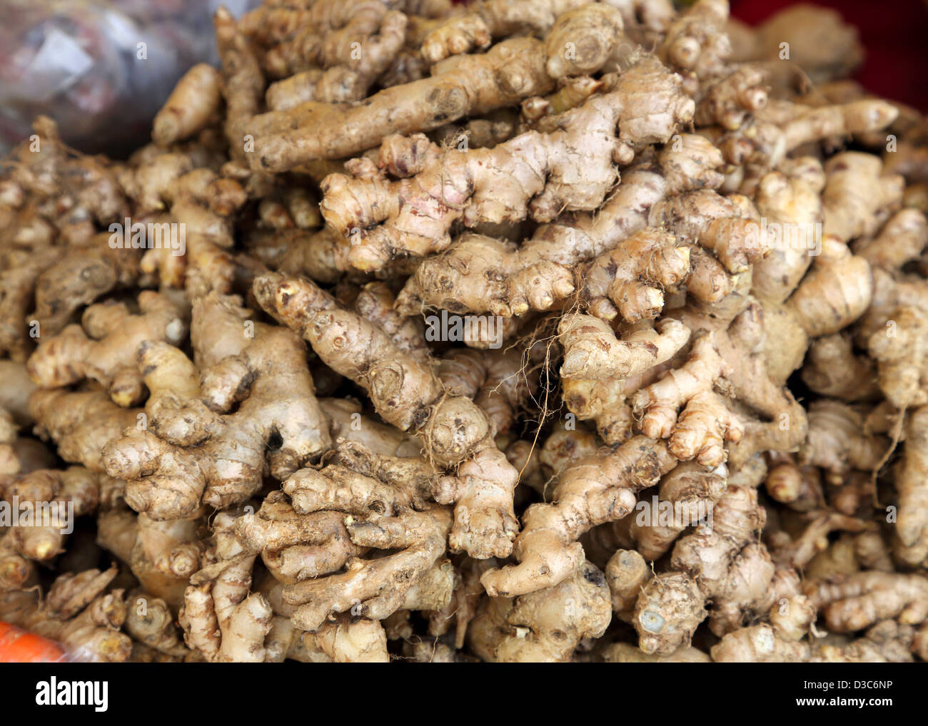 FRISCHEN INGWER KARIBIK WURZEL Stockfoto