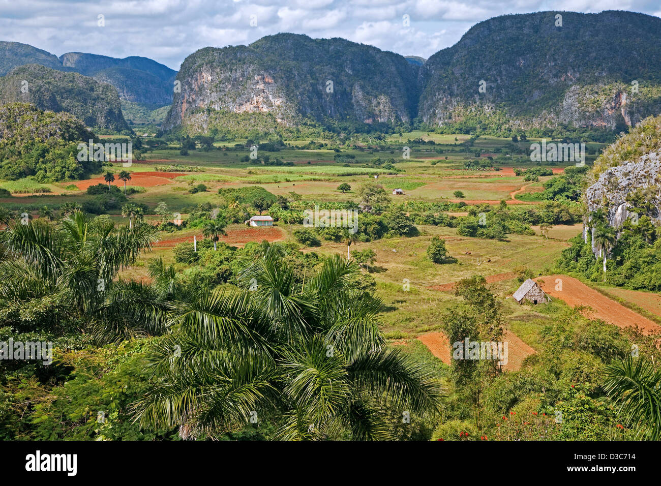 Traditionelle Landwirtschaft im Viñales-Tal / Valle de Viñales in der Sierra de Los Organos, Pinar del Río, Kuba, Caribbean Stockfoto
