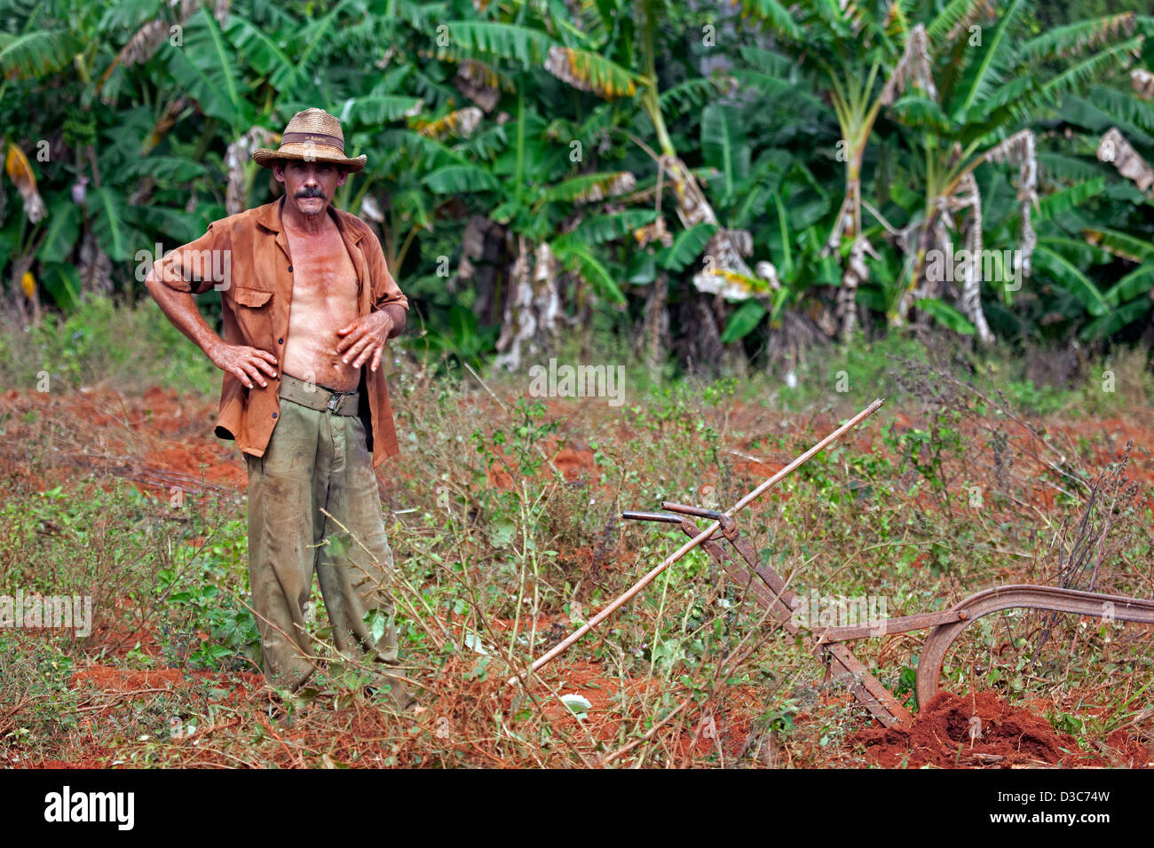 Kubanische Bauer und traditionelle Pflug auf Tabak-Plantage, Valle de Viñales, Sierra de Los Organos, Pinar del Río, Kuba Stockfoto