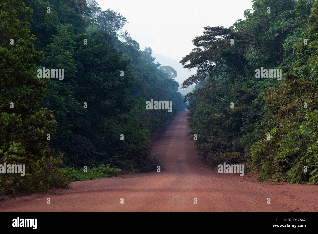 Iwokrama Rainforest entlang der Durchgangsstraße nur Nord-Süd-Straße durch Guyana. Den Zugang von Georgetown Linden zum Lethem Stockfoto