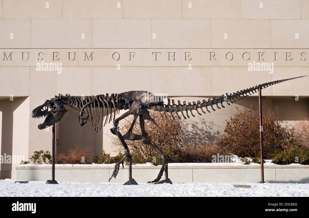 Bronze-Dinosaurier-Skelett (bekannt als Big Mike) außerhalb des Museums der Rockies in Bozeman, Montana, Vereinigte Staaten von Amerika Stockfoto