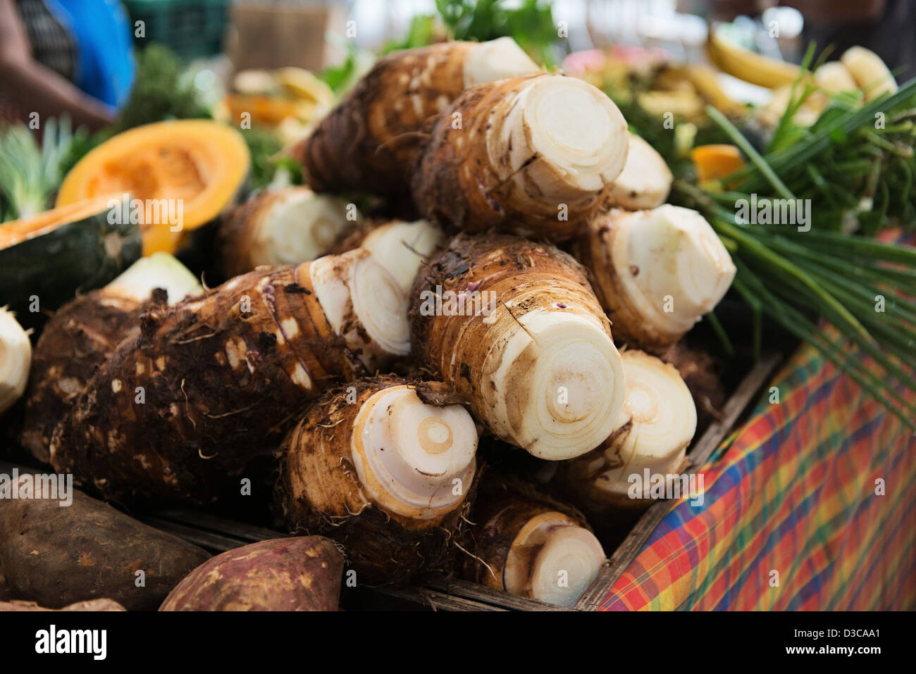 Tropische Früchte und Gemüse im Fort-de-France Markt, Insel Martinique, Karibik, kleine Antillen, Frankreich Stockfoto