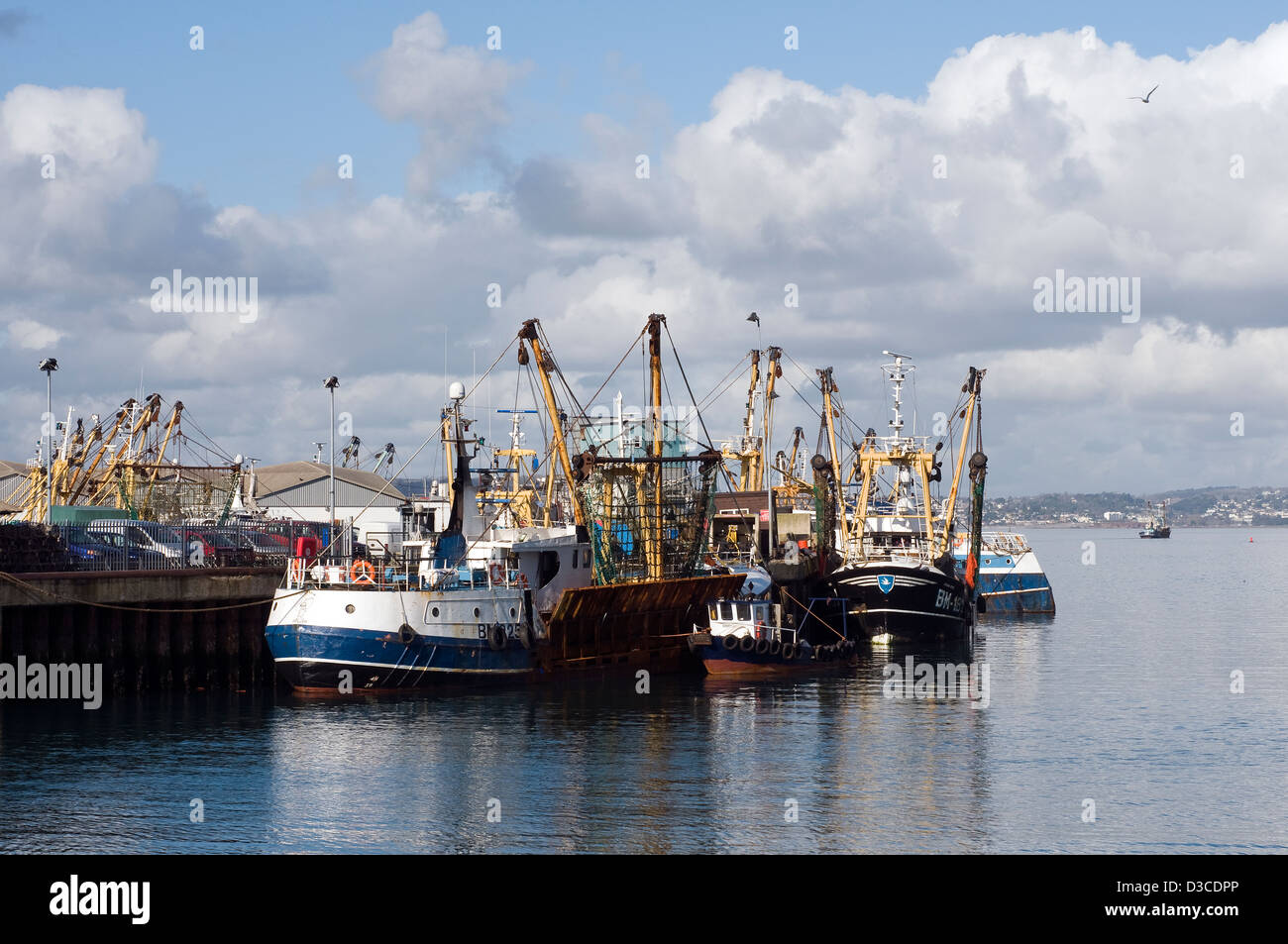 Hafen von Brixham, Trawler Flotte, Hafen von Brixham, verankert, blau, Boot, Bogen, abgehackt, angedockt, flüssig, grün, Start, Fish town Stockfoto