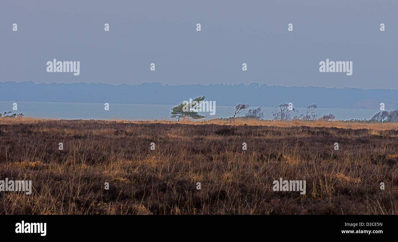 EINEN PANORAMABLICK AUF STUDLAND BAY VON DER ISLE OF PURBECK AUF B3351, SOUTH DORSET. ENGLAND Stockfoto