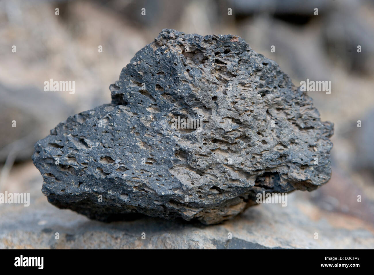 Ein Stück Lava gefunden auf dem Colorado River im Grand Canyon Stockfoto