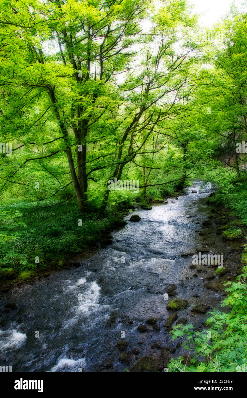 Fluss Wye in Monsal Dale Derbyshire England Stockfoto