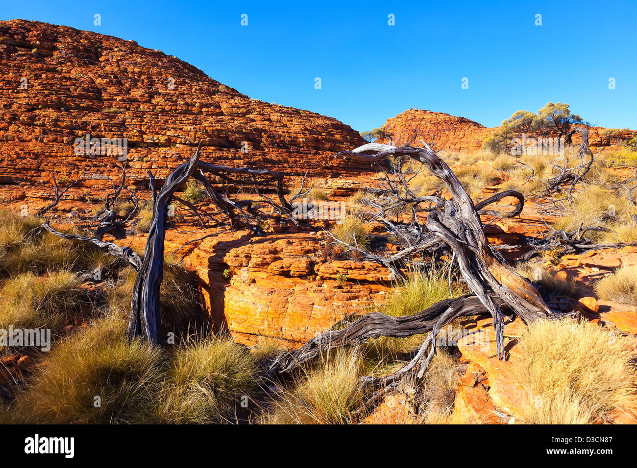 Kings Canyon Nordterritorium Zentralaustralien Stockfoto