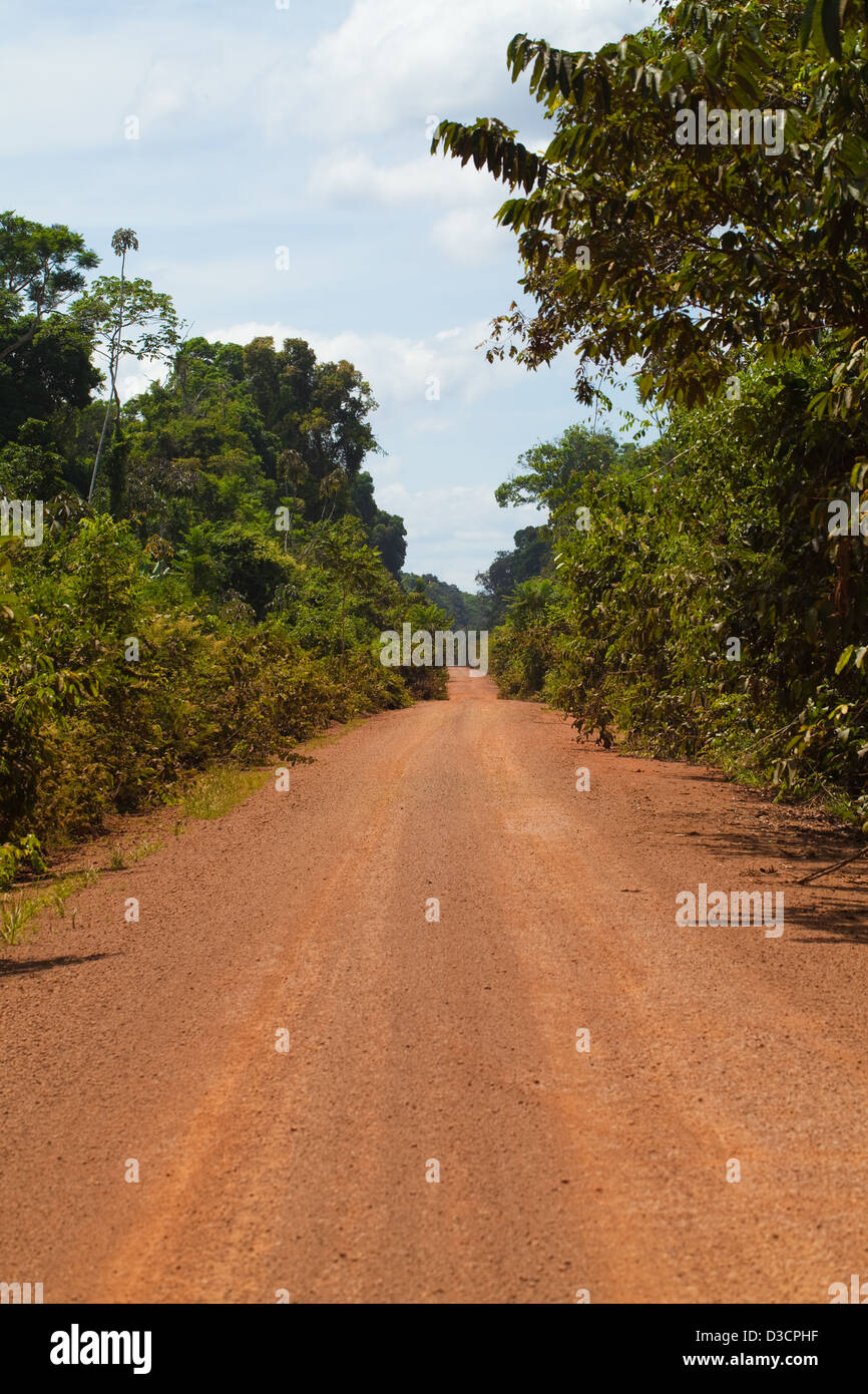 Iwokrama Rainforest bedeckt Baum 1 Million Hektar Wildnis. Guyana es Land nur Nord-Süd-Durchgangsstraße. Stockfoto
