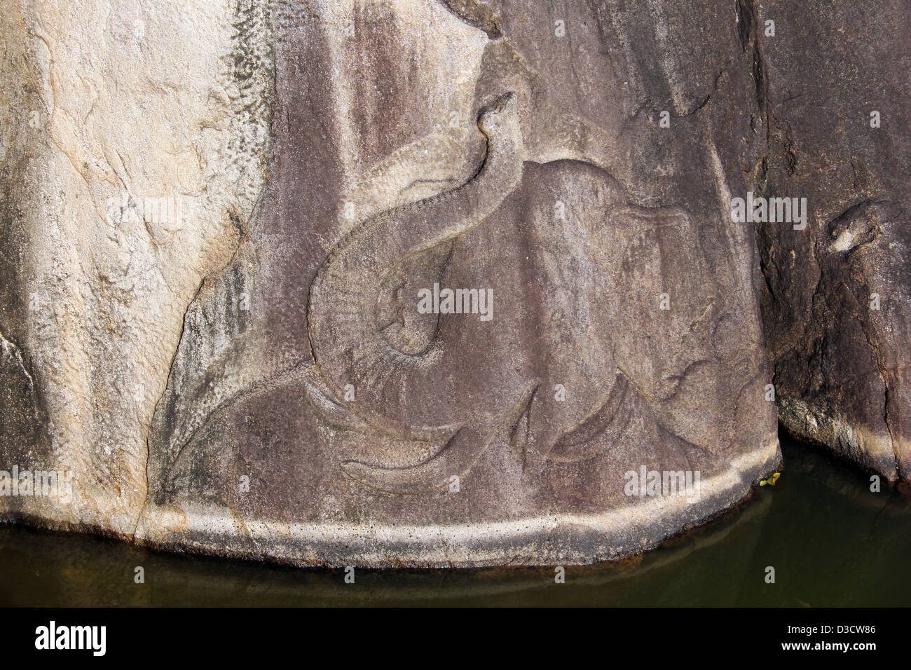 Geschnitzte Elefanten im Rock von Isurumuniya Tempel, Sri Lanka Stockfoto