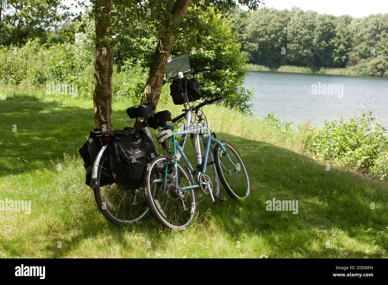 Zwei Fahrräder an einem Baum an einem See gelehnt Stockfoto
