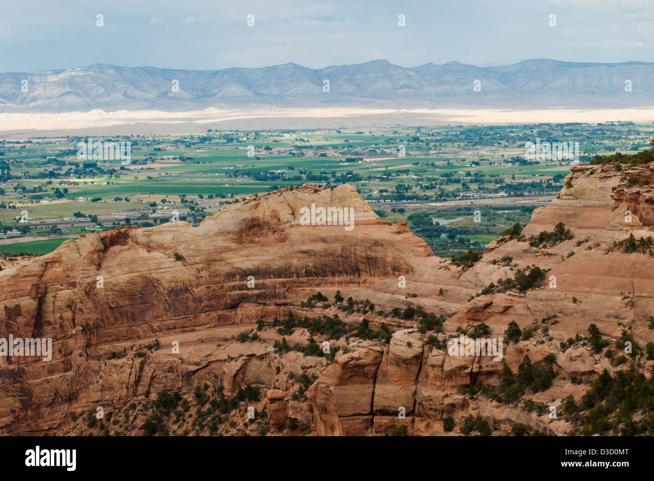 Colorado National Monument ist ein Teil des National Park Service in der Nähe der Stadt Grand Junction, Colorado. Spektakuläre Schluchten tief in Sandstein und Granit Gneis - Schiefer Felsformationen, in einigen Bereichen. Stockfoto