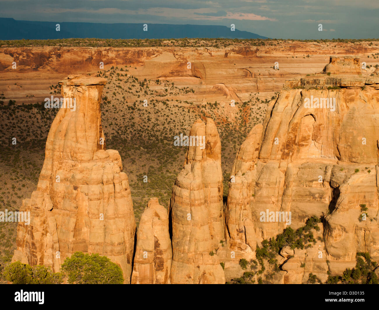 Colorado National Monument ist ein Teil des National Park Service in der Nähe der Stadt Grand Junction, Colorado. Spektakuläre Schluchten tief in Sandstein und Granit Gneis - Schiefer Felsformationen, in einigen Bereichen. Stockfoto