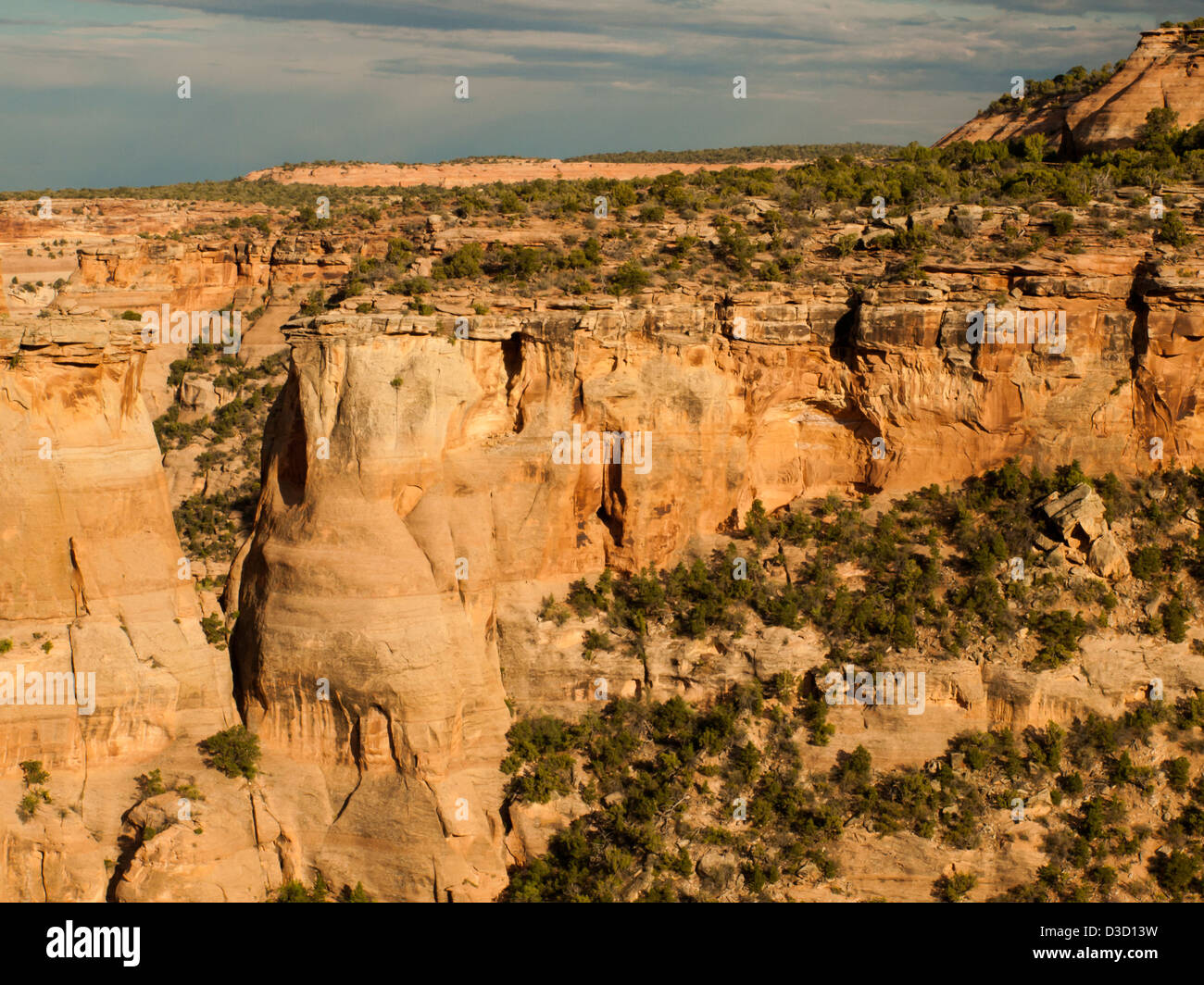 Colorado National Monument ist ein Teil des National Park Service in der Nähe der Stadt Grand Junction, Colorado. Spektakuläre Schluchten tief in Sandstein und Granit Gneis - Schiefer Felsformationen, in einigen Bereichen. Stockfoto