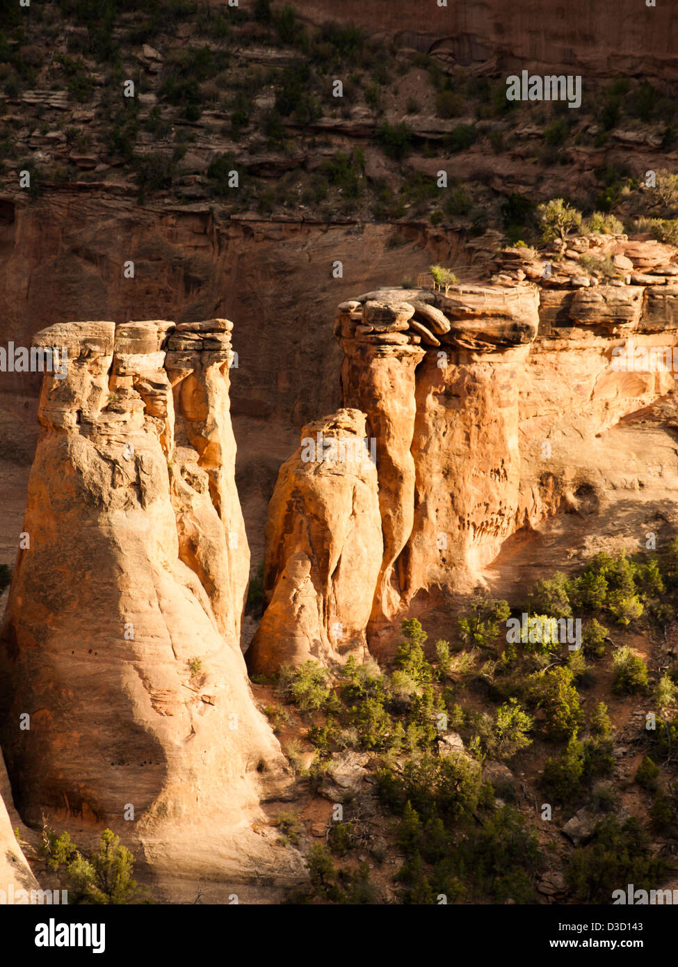 Colorado National Monument ist ein Teil des National Park Service in der Nähe der Stadt Grand Junction, Colorado. Spektakuläre Schluchten tief in Sandstein und Granit Gneis - Schiefer Felsformationen, in einigen Bereichen. Stockfoto