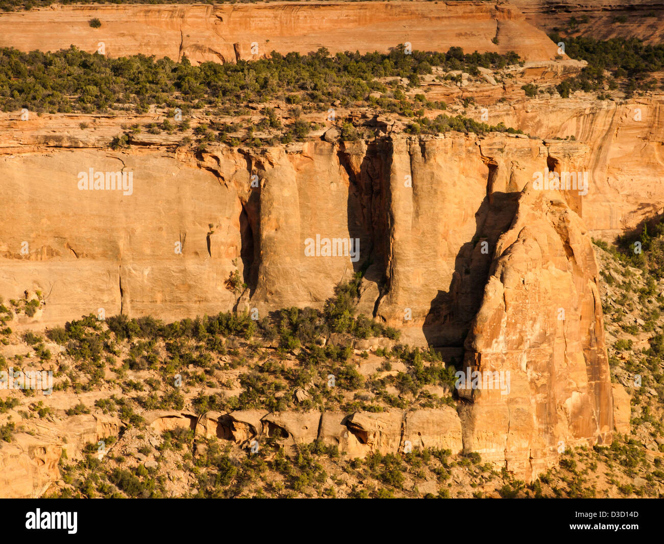 Colorado National Monument ist ein Teil des National Park Service in der Nähe der Stadt Grand Junction, Colorado. Spektakuläre Schluchten tief in Sandstein und Granit Gneis - Schiefer Felsformationen, in einigen Bereichen. Stockfoto